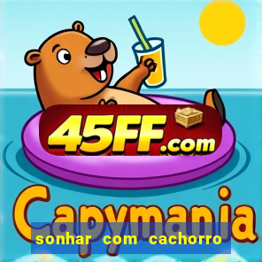 sonhar com cachorro numeros da mega sena